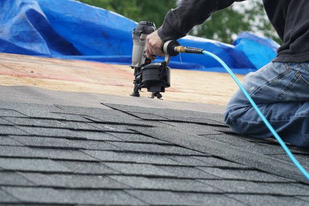 Best Roof Gutter Cleaning  in Garland, TX